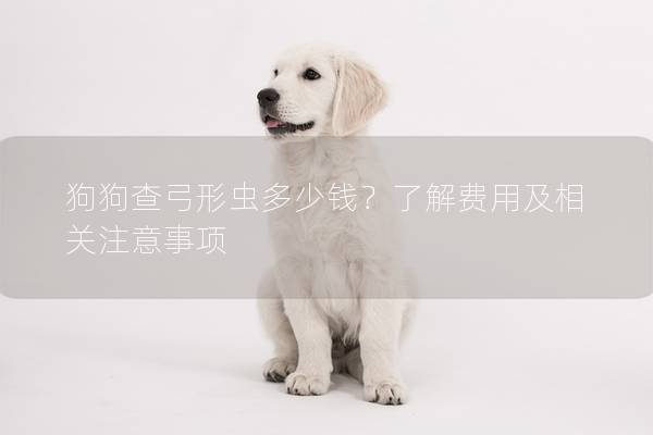 狗狗查弓形蟲多少錢？了解費用及相關(guān)注意事項