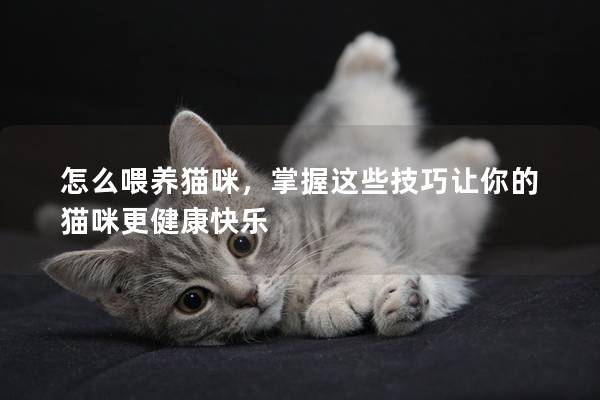 怎么喂養貓咪，掌握這些技巧讓你的貓咪更健康快樂