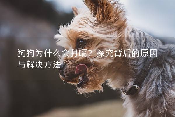 狗狗為什么會打嗝？探究背后的原因與解決方法