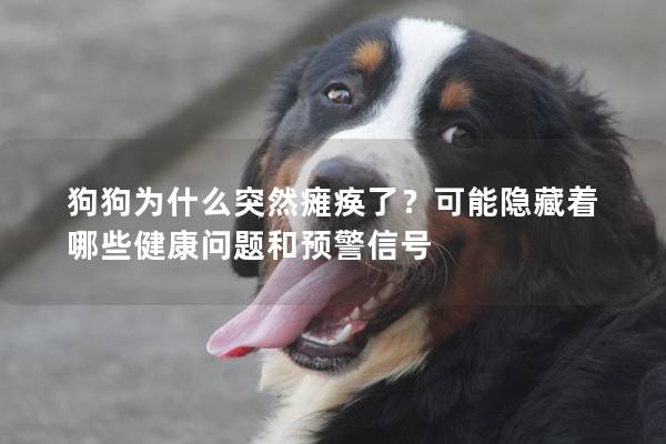 狗狗為什么突然癱瘓了？可能隱藏著哪些健康問題和預警信號