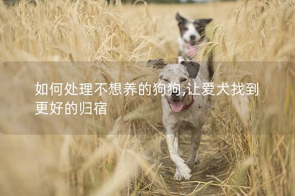 如何處理不想養的狗狗,讓愛犬找到更好的歸宿
