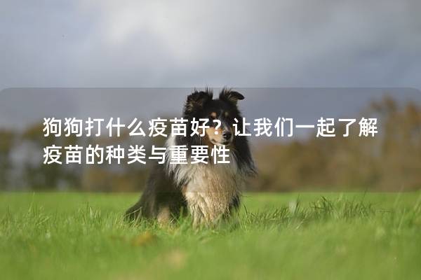 狗狗打什么疫苗好？讓我們一起了解疫苗的種類與重要性