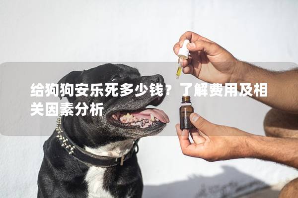 給狗狗安樂死多少錢？了解費用及相關因素分析