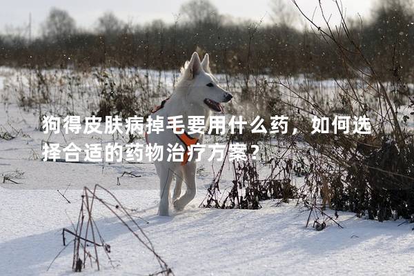 狗得皮膚病掉毛要用什么藥，如何選擇合適的藥物治療方案？