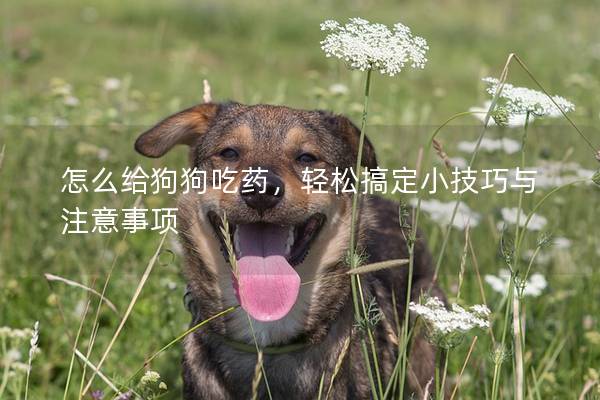 怎么給狗狗吃藥，輕松搞定小技巧與注意事項