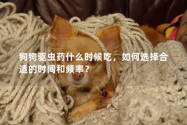 狗狗驅蟲藥什么時候吃，如何選擇合適的時間和頻率？