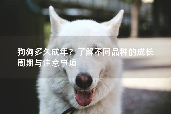 狗狗多久成年？了解不同品種的成長(zhǎng)周期與注意事項(xiàng)