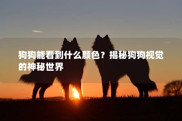 狗狗能看到什么顏色？揭秘狗狗視覺的神秘世界