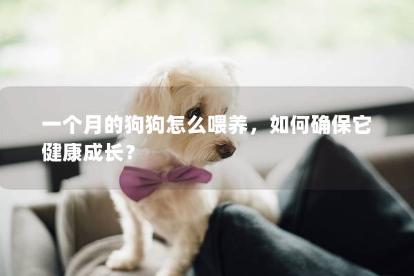 一個月的狗狗怎么喂養，如何確保它健康成長？