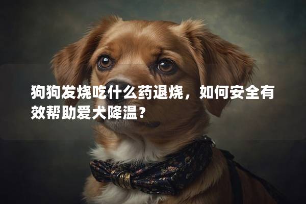 狗狗發燒吃什么藥退燒，如何安全有效幫助愛犬降溫？