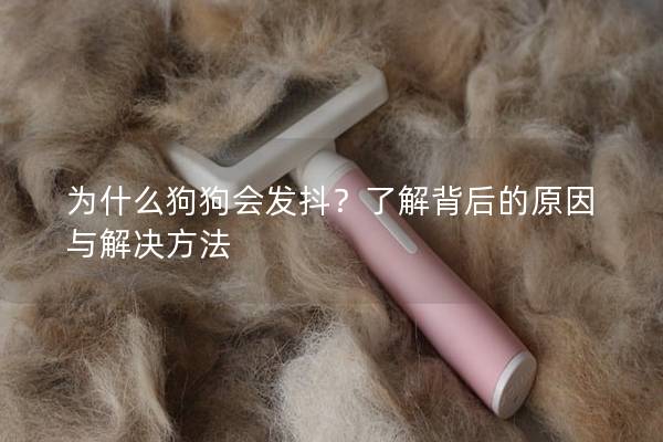 為什么狗狗會發抖？了解背后的原因與解決方法