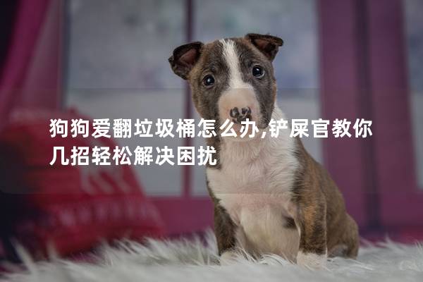 狗狗愛翻垃圾桶怎么辦,鏟屎官教你幾招輕松解決困擾 狗狗愛翻垃圾桶怎么辦,鏟屎官教你幾招輕松解決困擾