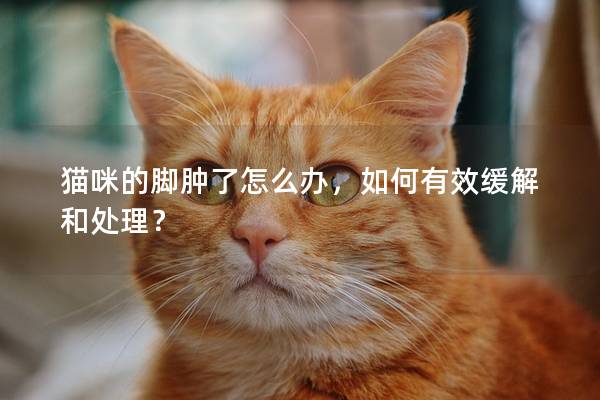 貓咪的腳腫了怎么辦，如何有效緩解和處理？