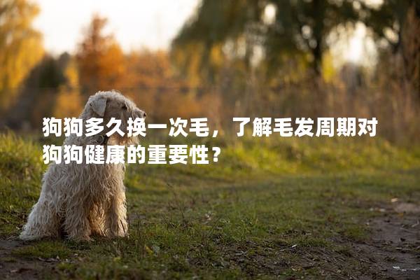 狗狗多久換一次毛，了解毛發周期對狗狗健康的重要性？