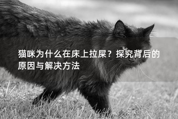 貓咪為什么在床上拉屎？探究背后的原因與解決方法