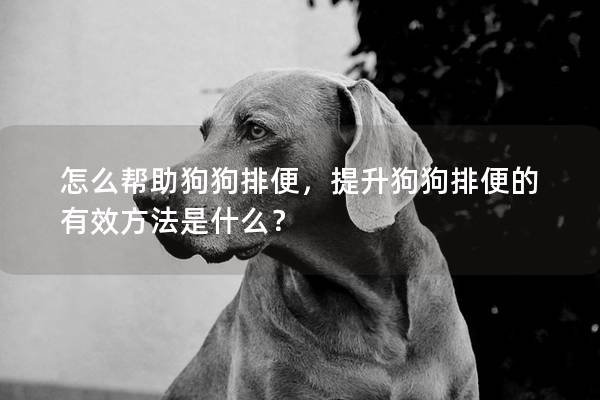 怎么幫助狗狗排便，提升狗狗排便的有效方法是什么？