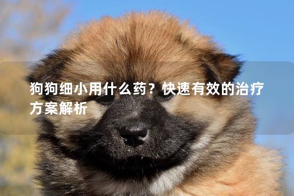 狗狗細小用什么藥？快速有效的治療方案解析
