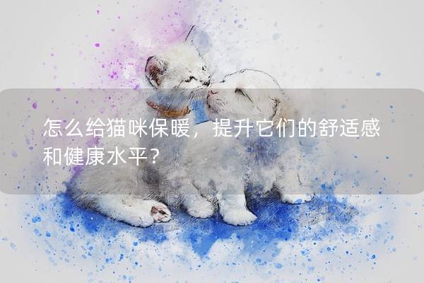 怎么給貓咪保暖，提升它們的舒適感和健康水平？