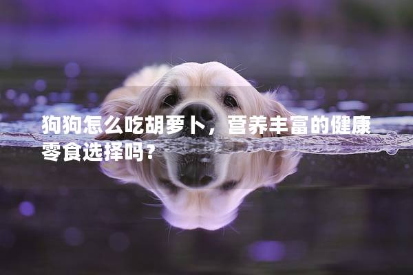 狗狗怎么吃胡蘿卜,營養豐富的健康零食選擇嗎? 狗狗怎么吃胡蘿卜,營養豐富的健康零食選擇嗎?