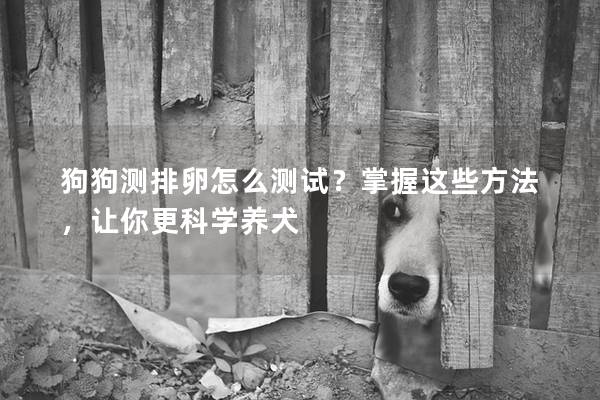 狗狗測排卵怎么測試？掌握這些方法，讓你更科學養犬