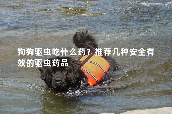 狗狗驅蟲吃什么藥？推薦幾種安全有效的驅蟲藥品