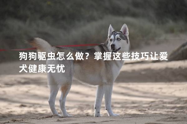狗狗驅(qū)蟲怎么做？掌握這些技巧讓愛犬健康無憂