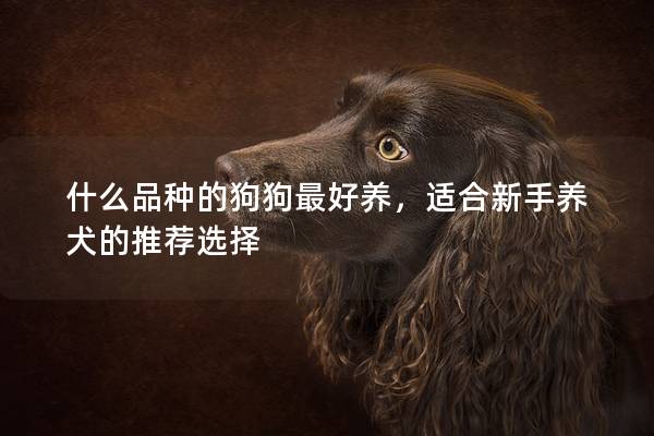 什么品種的狗狗最好養，適合新手養犬的推薦選擇