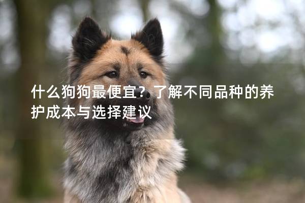 什么狗狗最便宜？了解不同品種的養(yǎng)護(hù)成本與選擇建議
