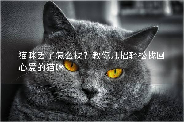 貓咪丟了怎么找？教你幾招輕松找回心愛的貓咪