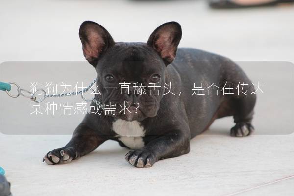 狗狗為什么一直舔舌頭，是否在傳達某種情感或需求？