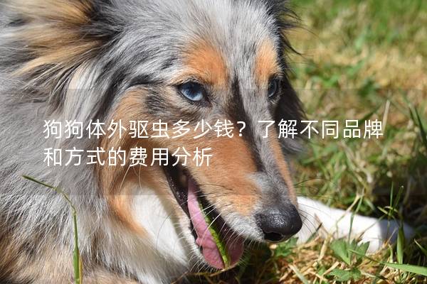 狗狗體外驅蟲多少錢？了解不同品牌和方式的費用分析