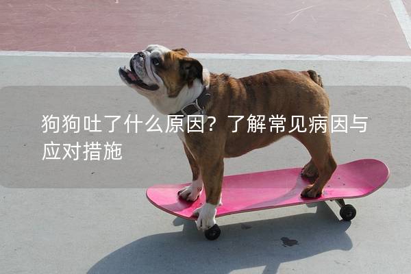 狗狗吐了什么原因？了解常見病因與應對措施