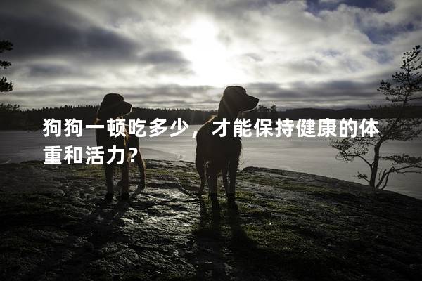 狗狗一頓吃多少，才能保持健康的體重和活力？