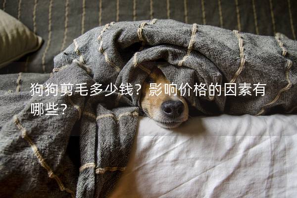 狗狗剪毛多少錢?影響價格的因素有哪些? 狗狗剪毛多少錢?影響價格的因素有哪些?