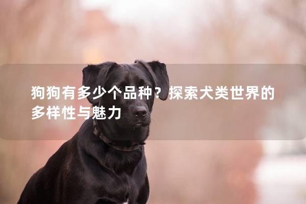 狗狗有多少個品種？探索犬類世界的多樣性與魅力