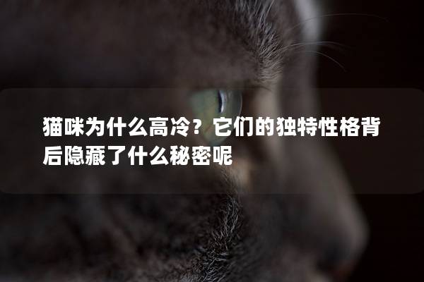 貓咪為什么高冷？它們的獨(dú)特性格背后隱藏了什么秘密呢