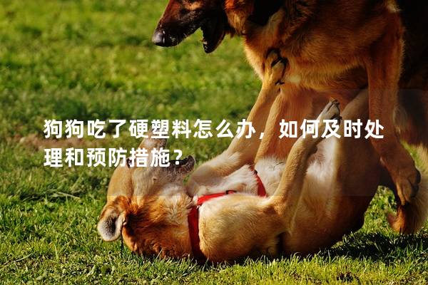 狗狗吃了硬塑料怎么辦，如何及時處理和預防措施？