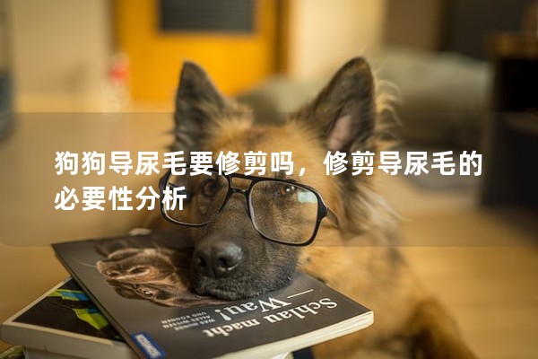 狗狗導尿毛要修剪嗎,修剪導尿毛的必要性分析 狗狗導尿毛要修剪嗎,修剪導尿毛的必要性分析