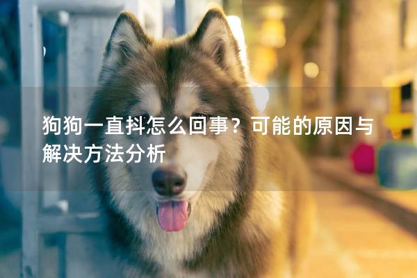 狗狗一直抖怎么回事？可能的原因與解決方法分析