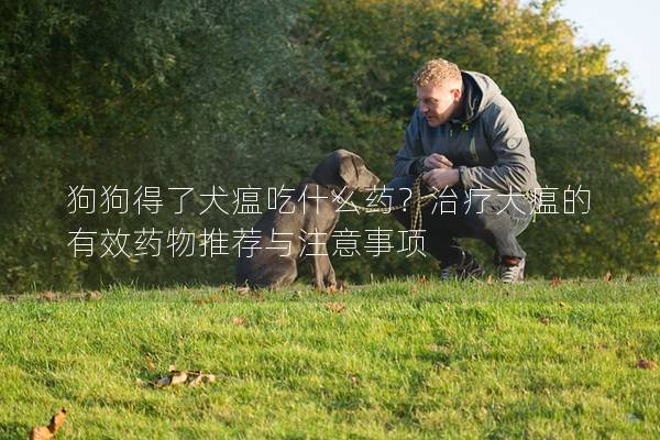 狗狗得了犬瘟吃什么藥？治療犬瘟的有效藥物推薦與注意事項(xiàng)