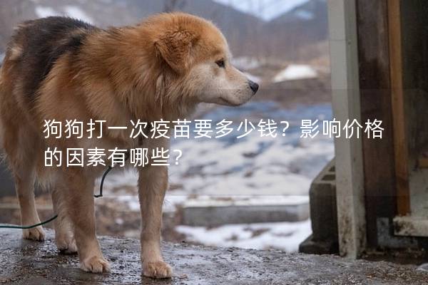狗狗打一次疫苗要多少錢？影響價格的因素有哪些？