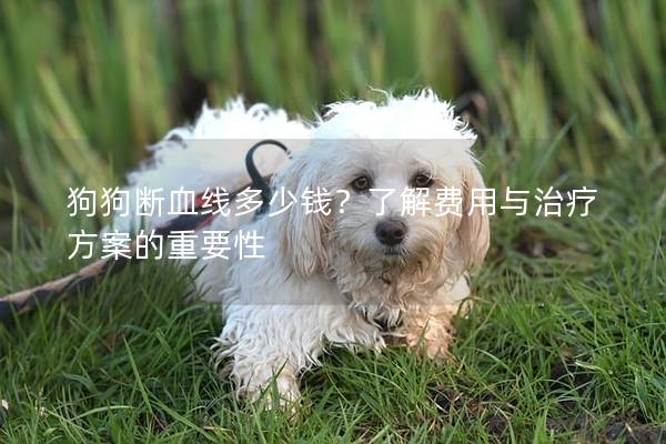 狗狗斷血線多少錢？了解費(fèi)用與治療方案的重要性