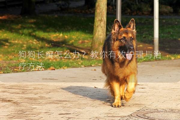 狗狗長(zhǎng)癬怎么辦？教你有效護(hù)理與治療方法