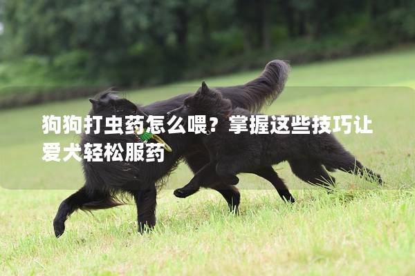 狗狗打蟲藥怎么喂？掌握這些技巧讓愛犬輕松服藥