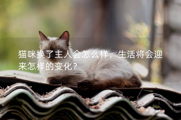 貓咪換了主人會怎么樣，生活將會迎來怎樣的變化？