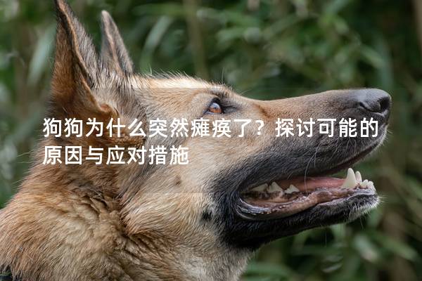 狗狗為什么突然癱瘓了？探討可能的原因與應對措施