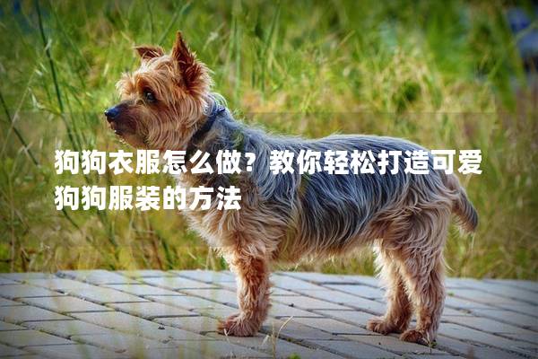 狗狗衣服怎么做？教你輕松打造可愛狗狗服裝的方法