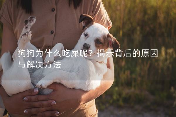 狗狗為什么吃屎呢？揭示背后的原因與解決方法