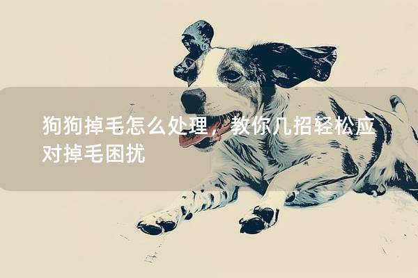 狗狗掉毛怎么處理，教你幾招輕松應對掉毛困擾