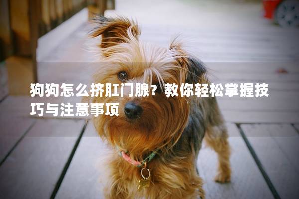 狗狗怎么擠肛門腺？教你輕松掌握技巧與注意事項(xiàng)